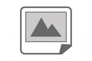 N Type "T" Jack-Plug-Jack Adapter